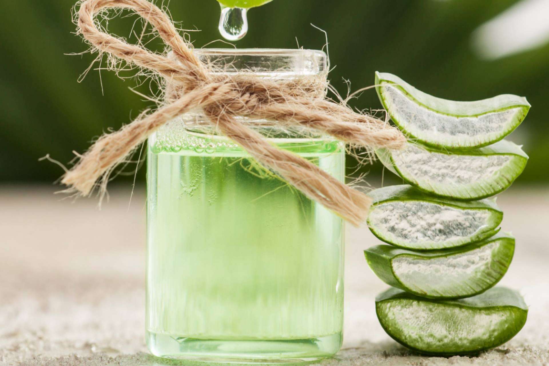 Los múltiples beneficios del aloe vera en la cosmética de CrisEssens