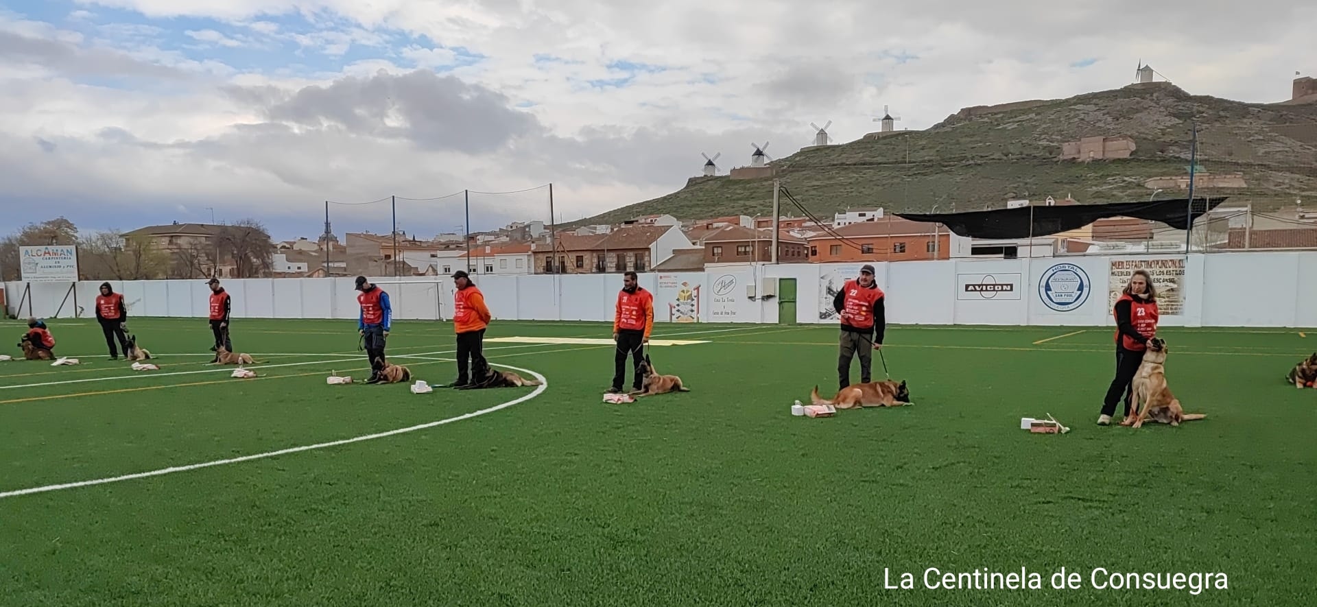 Consuegra, sede de la XXVI Copa de trabajo para perros de utilidad de la RSCE