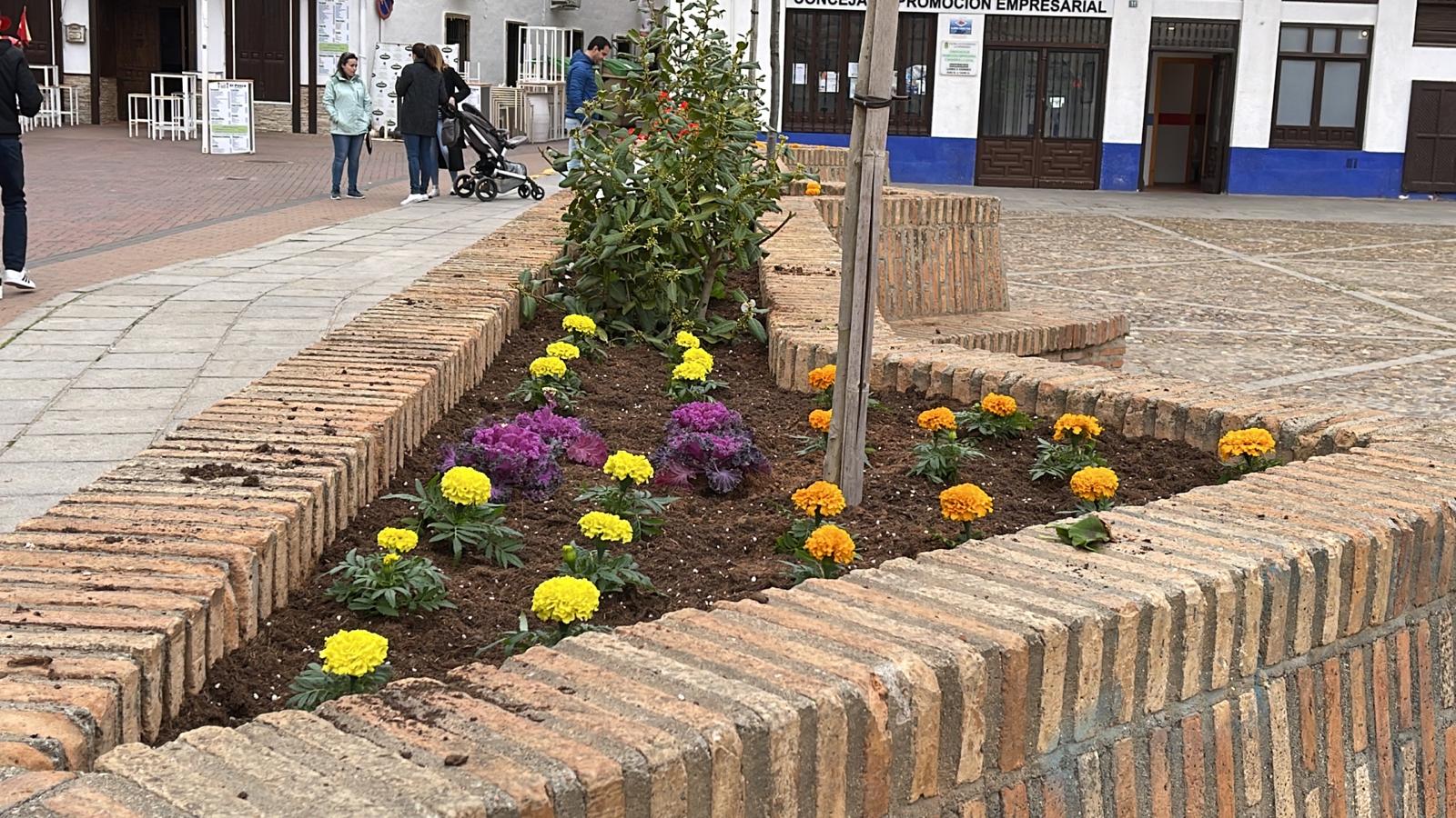 El Ayuntamiento refuerza el embellecimiento de la Plaza con nuevas remesas de plantas y flores de temporada para esta Semana Santa.