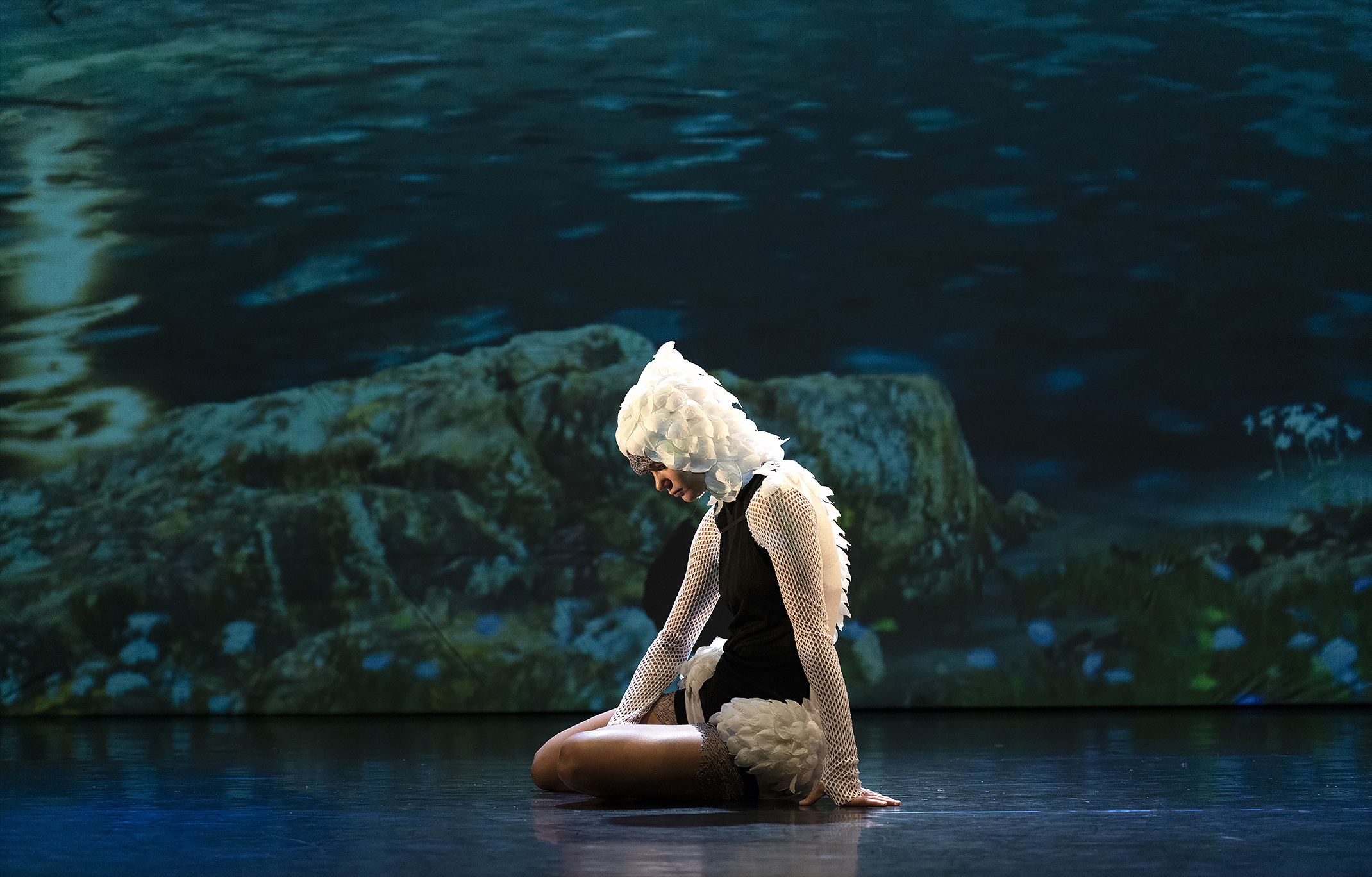 «El Lago de los Cisnes 3D» original versión que fusiona  ballet clásico, danza contemporánea y realidad virtual