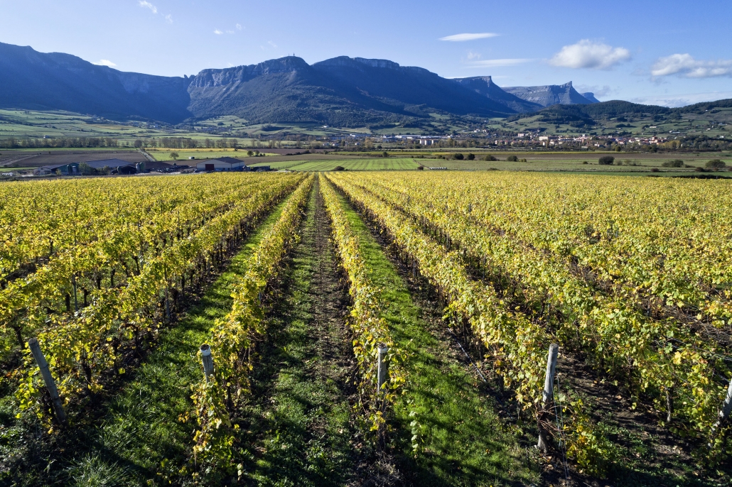 La Ruta del Txakoli se une a Rutas del Vino de España