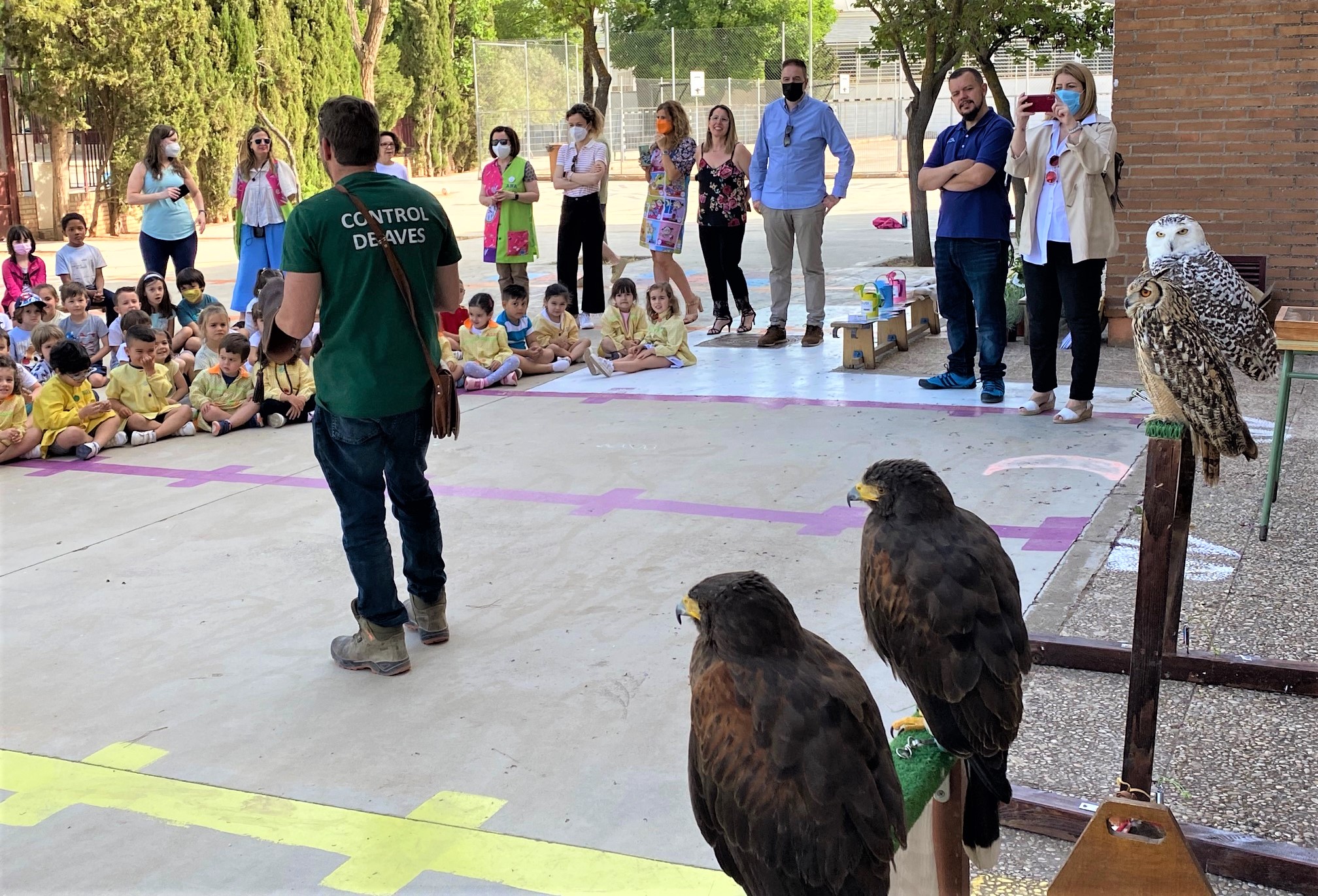 Como parte de las actividades para el Día de la Biodiversidad, el colegio Juan de Austria celebra una demostración de cetrería