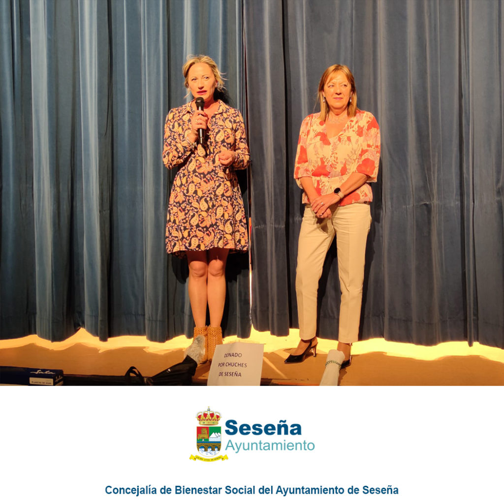 REGRESO DEL FESTIVAL SOLIDARIO – Ayuntamiento de Seseña