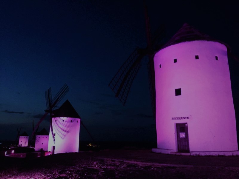 Iluminación de color morado por el Día Internacional del Síndrome de Dravet
