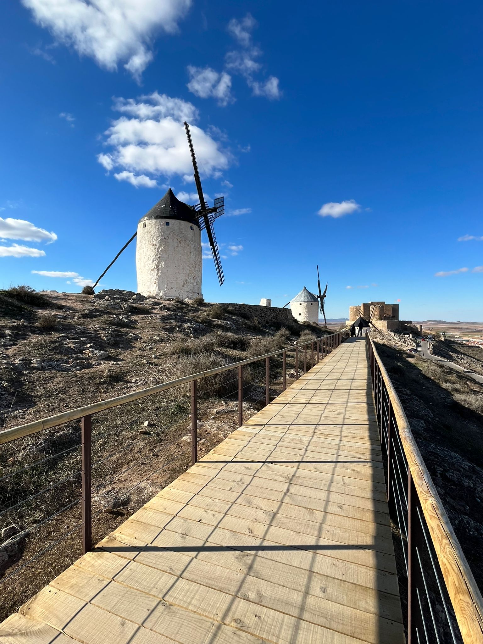Consuegra apuesta por el turismo inclusivo