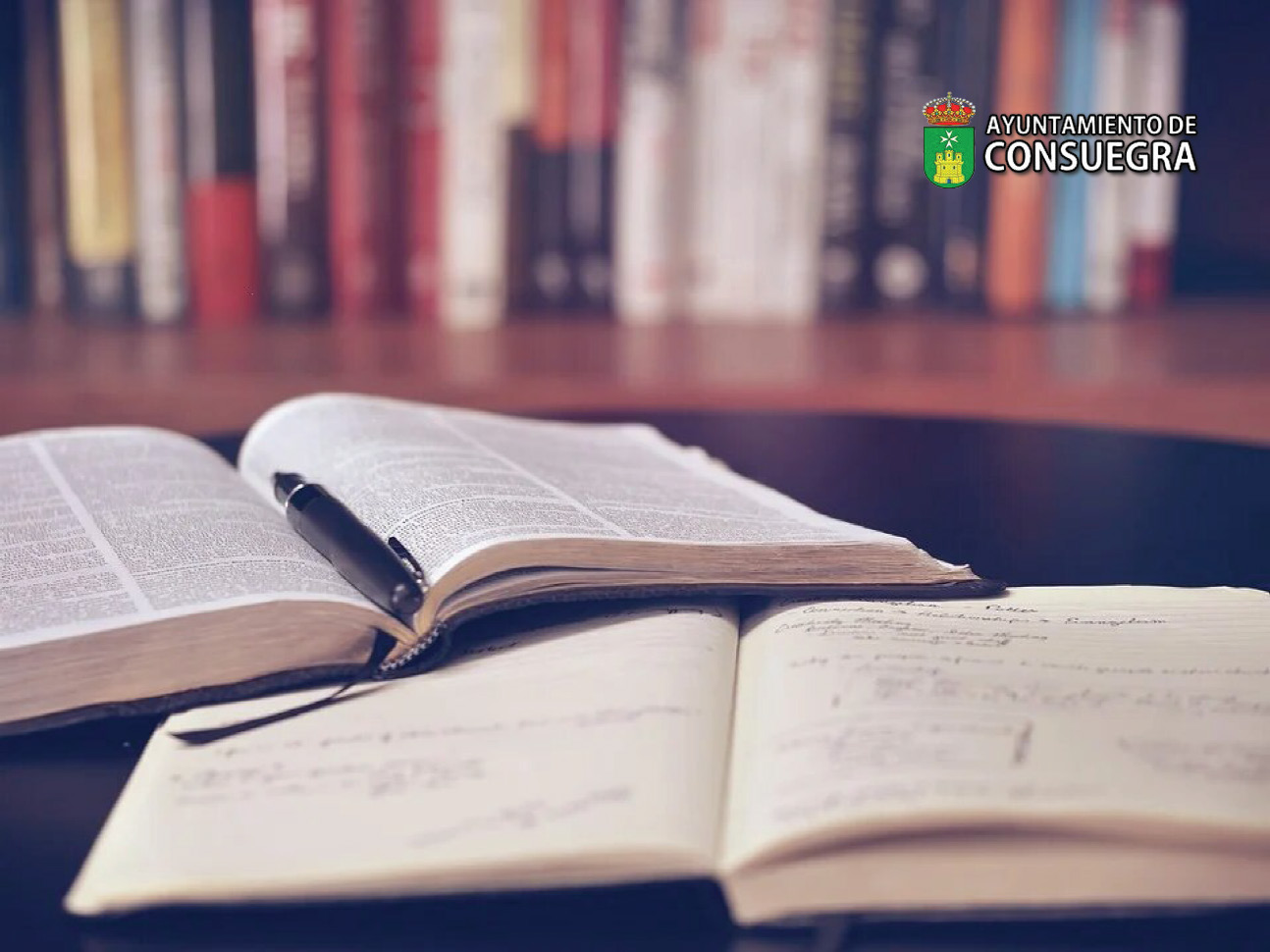 Bibliografía consaburense