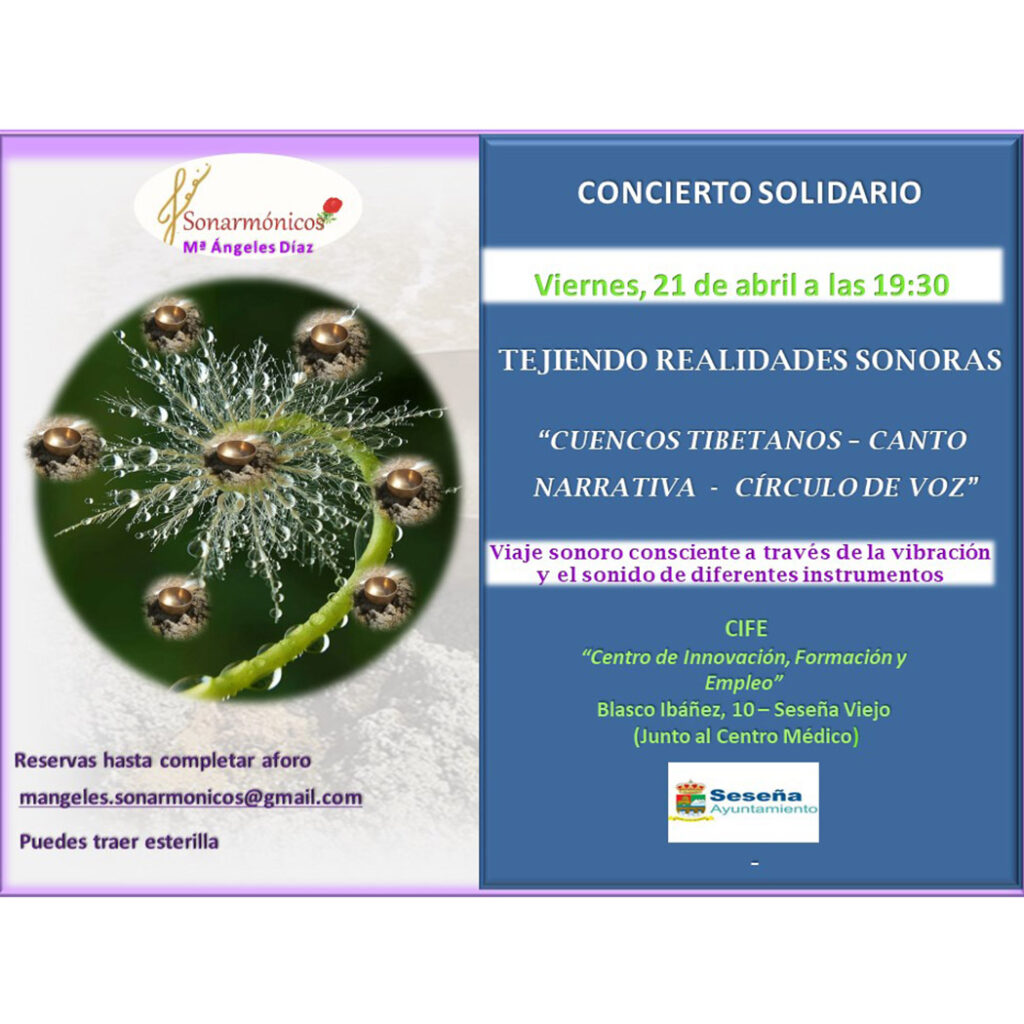 Festival Solidario. – Ayuntamiento de Seseña