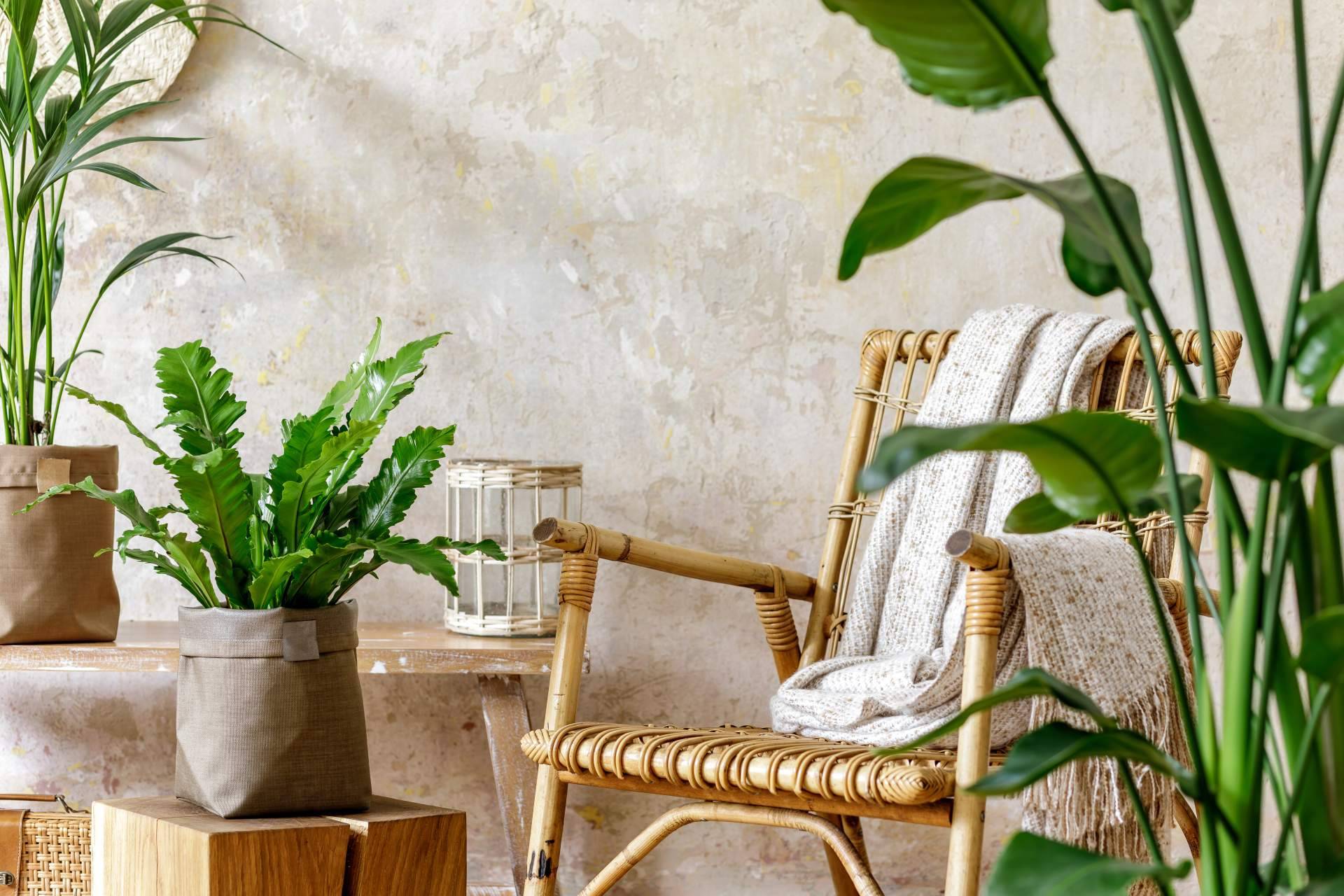 Hogar y Más presenta sus innovadoras propuestas de decoración exterior para disfrutar del verano
