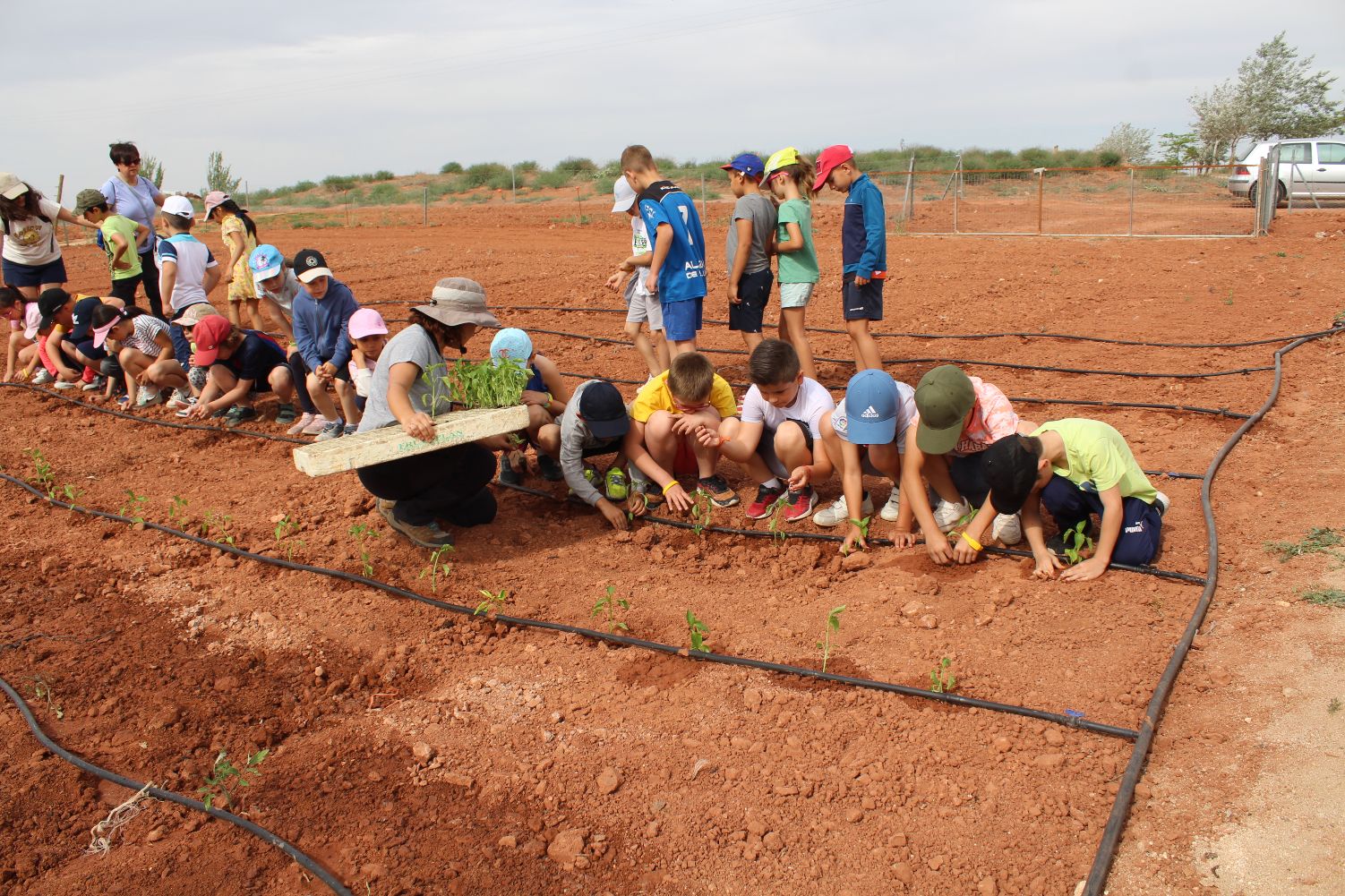 Los escolares del Aula Agrícola donan su cosecha a la Residencia Santa Marta