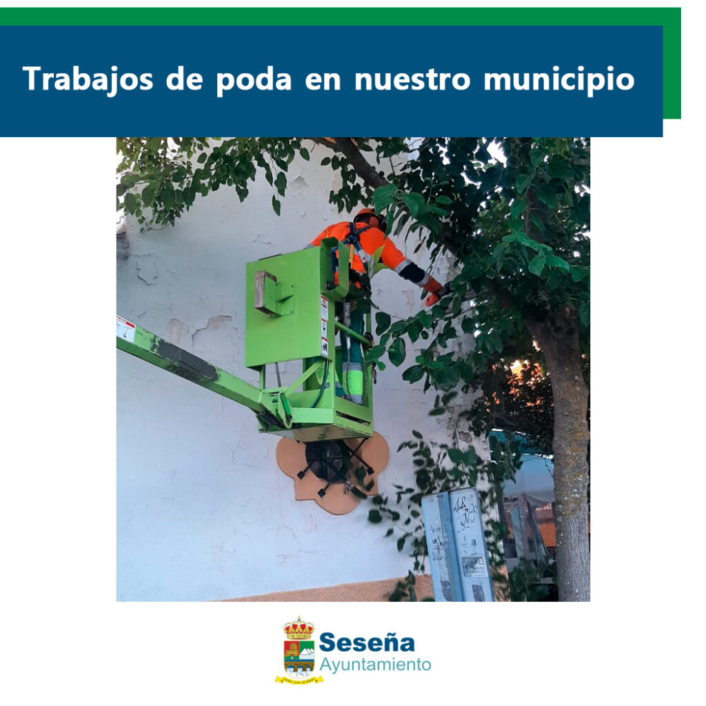 Trabajos de poda en nuestro municipio – Ayuntamiento de Seseña