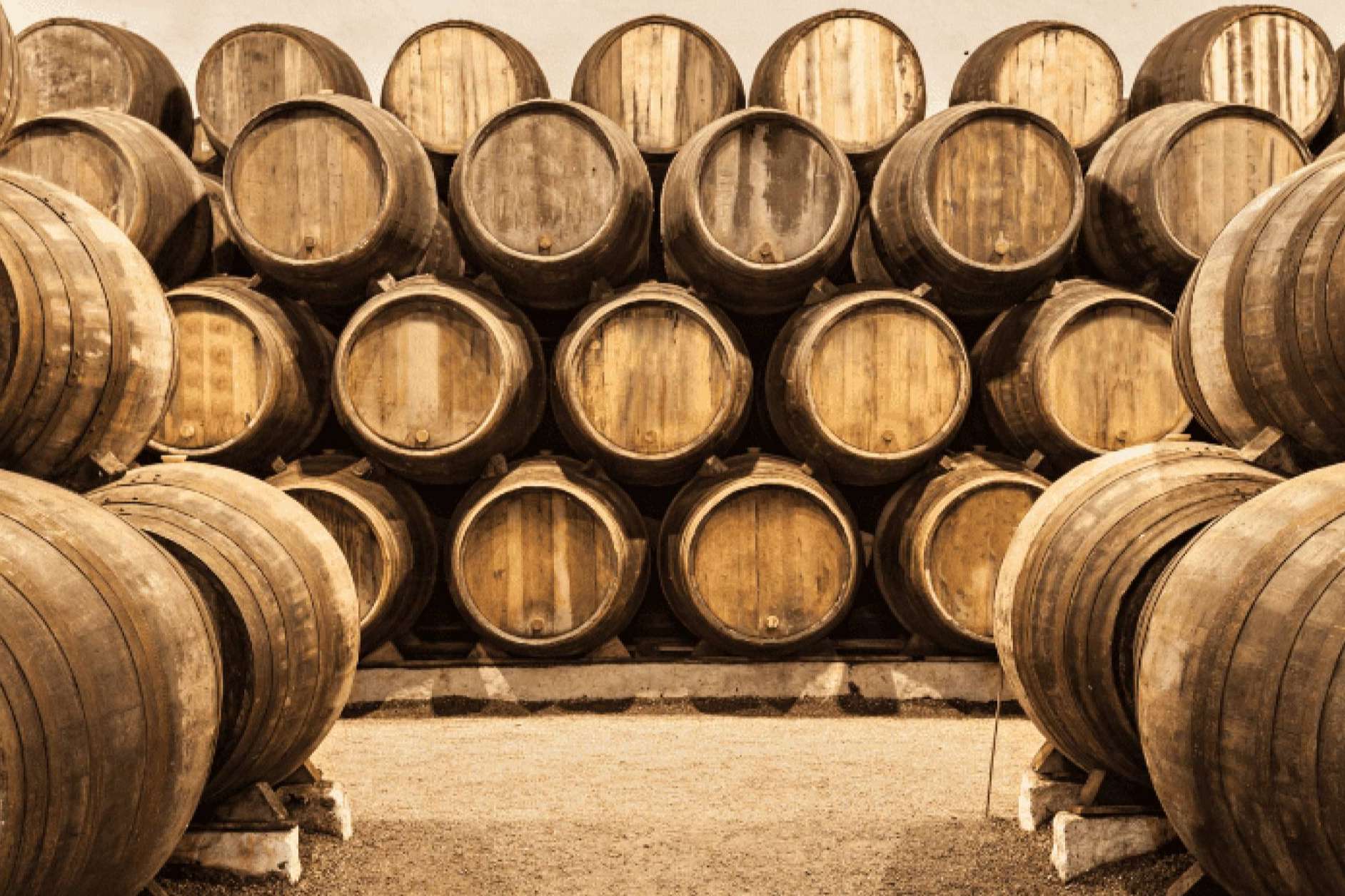 Las bodegas, donde nace el vino