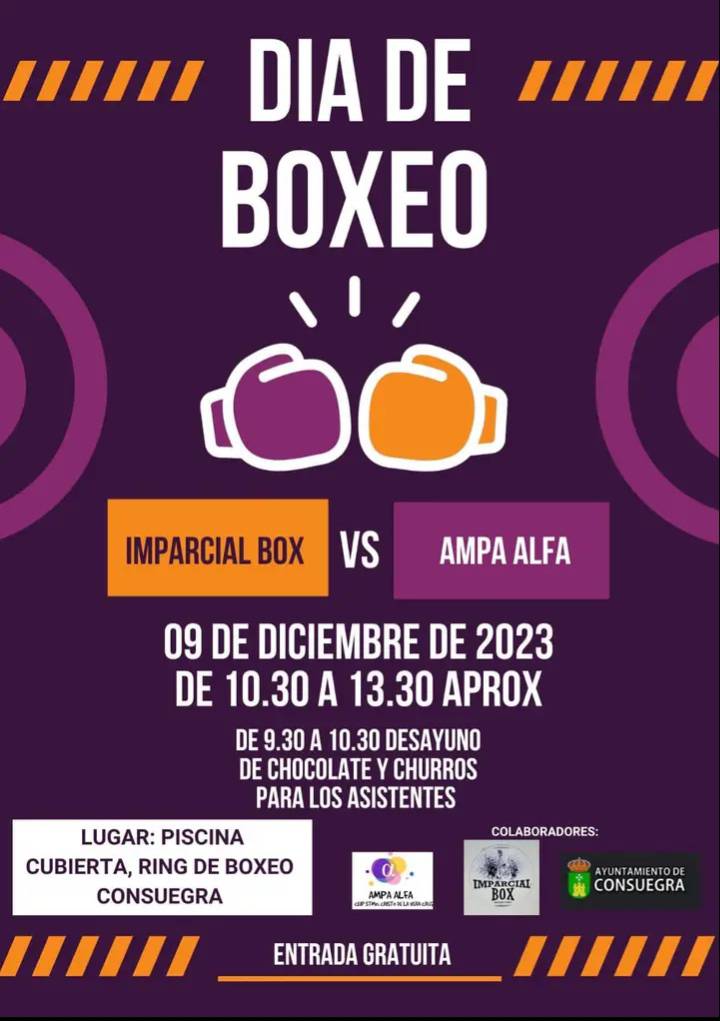 Día de Boxeo - Ayuntamiento de Consuegra