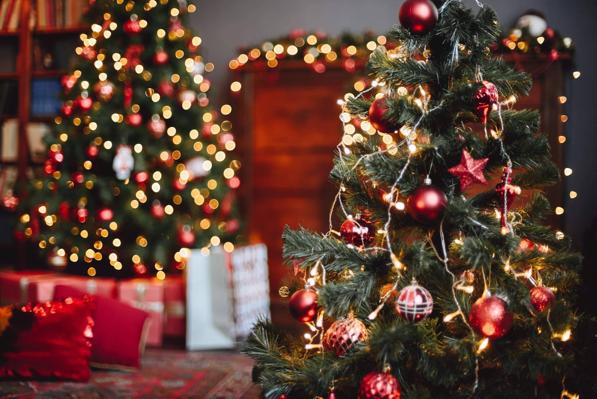 Regalar libros en Navidad con Entre Libros Editorial