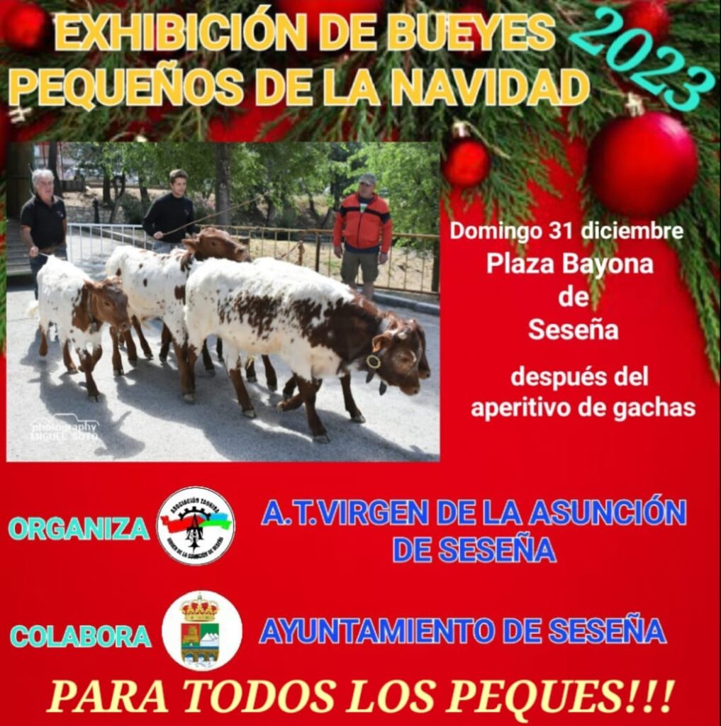 🏃♂ ¡Prepárate para la mañana del 31 de diciembre en la Plaza Bayona de Seseña! – Ayuntamiento de Seseña