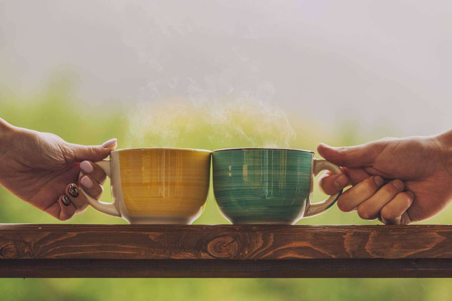 Infusiones ecológicas en el amplio catálogo online de Sientea