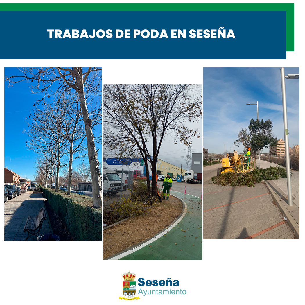 🌳 TRABAJOS DE PODA EN SESEÑA 🌲 – Ayuntamiento de Seseña