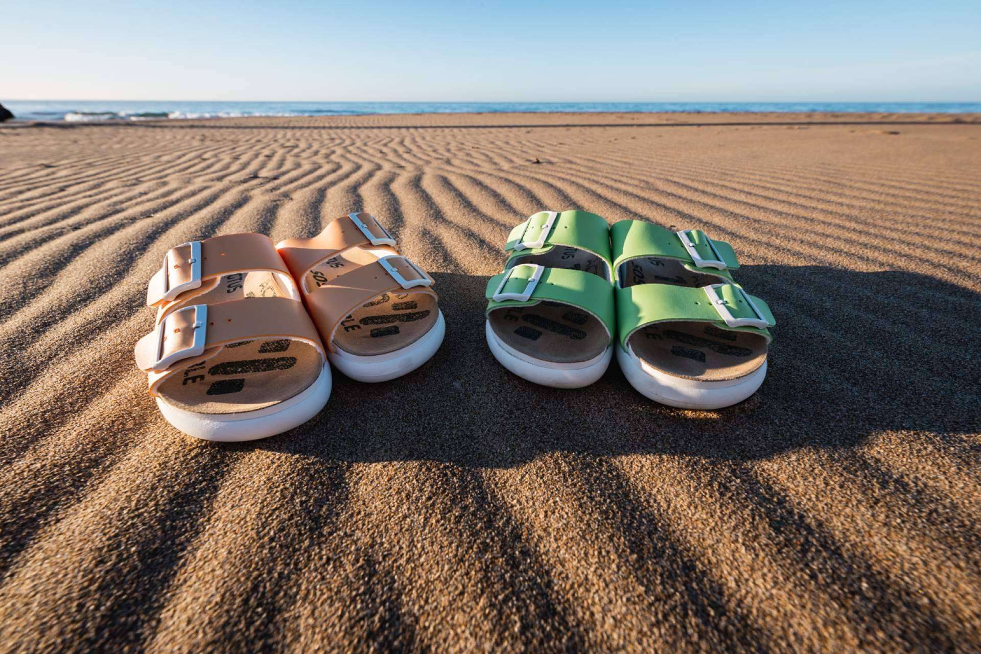 Vegtus Revoluciona la Moda Sostenible; Sneakers que Ahorran 8.000 Litros de Agua