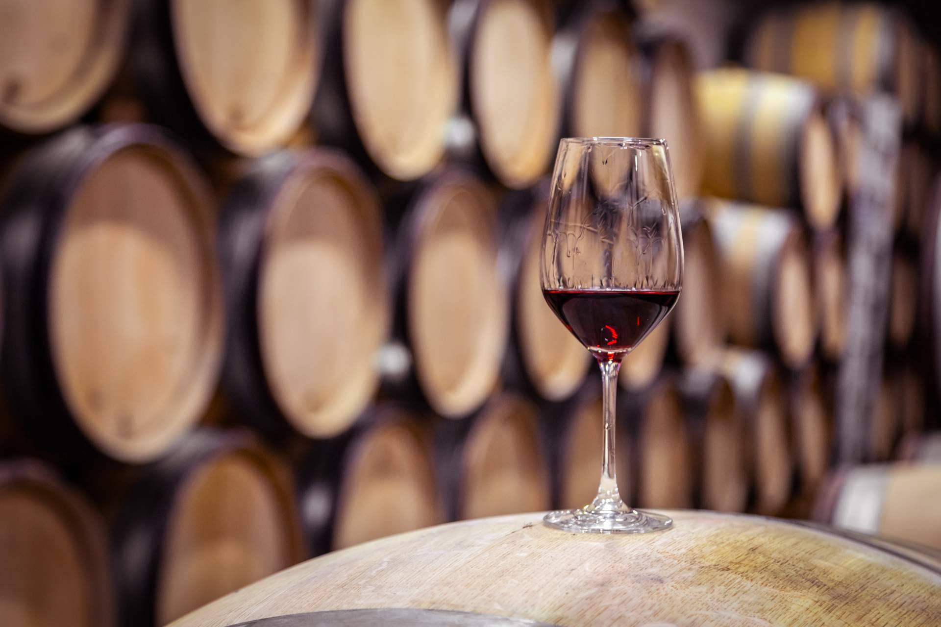 Descubrir Emilio Moro; La Joya de Ribera del Duero