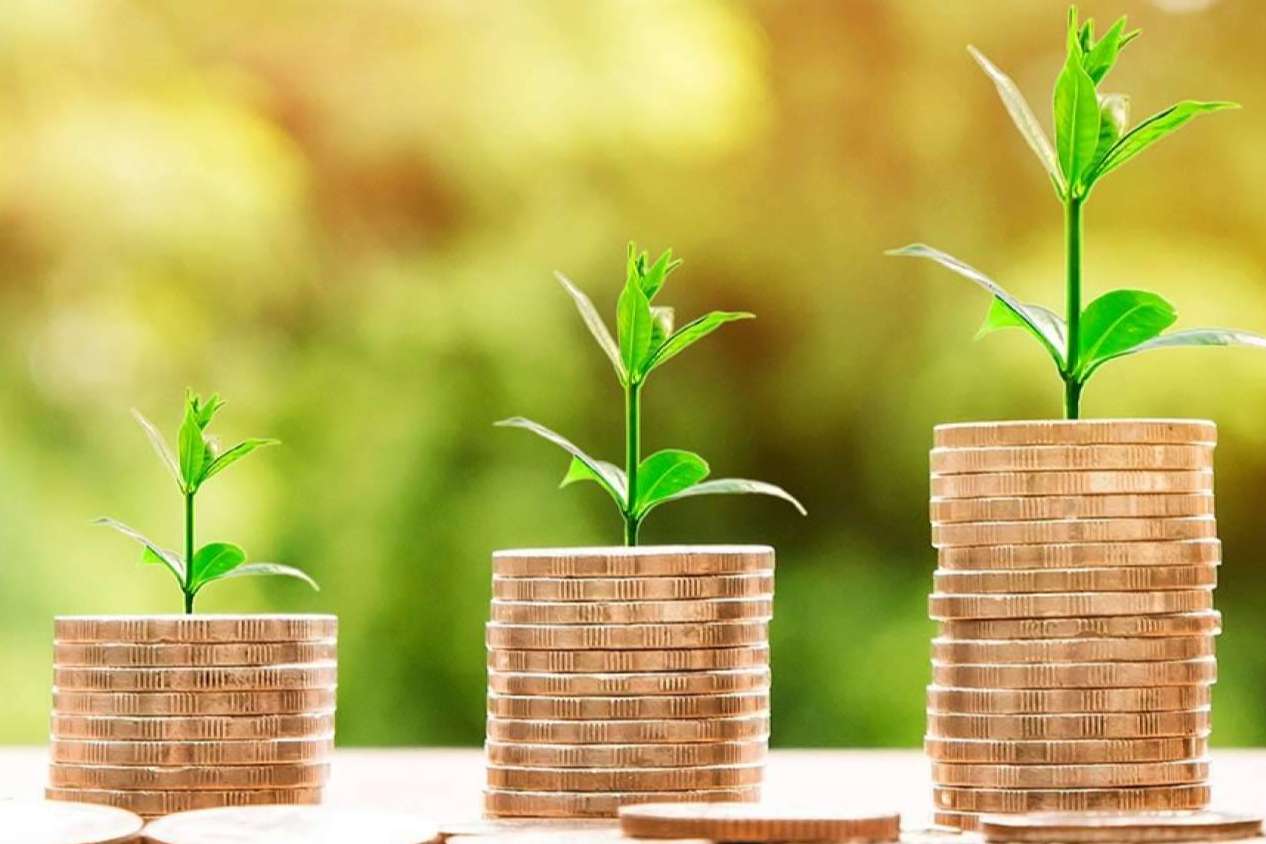 ¿Por qué las PYMEs también necesitan un consultor financiero?